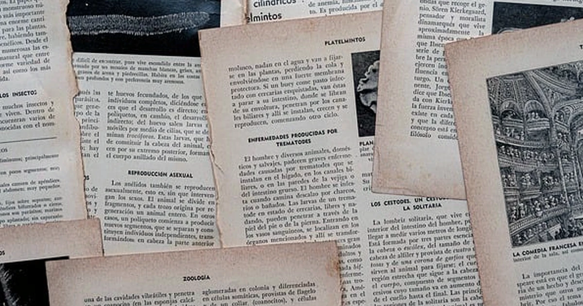 Solvencia del empleador en extranjería: claves